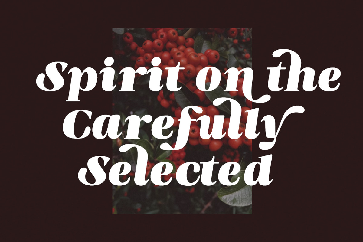 Blish Gham, a Font by Fontastic (Photo 5 of 13)
