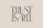 SALE! Type Master - serif font, a Serif Font by VP Fonts (Thumbnail 13 of 24)