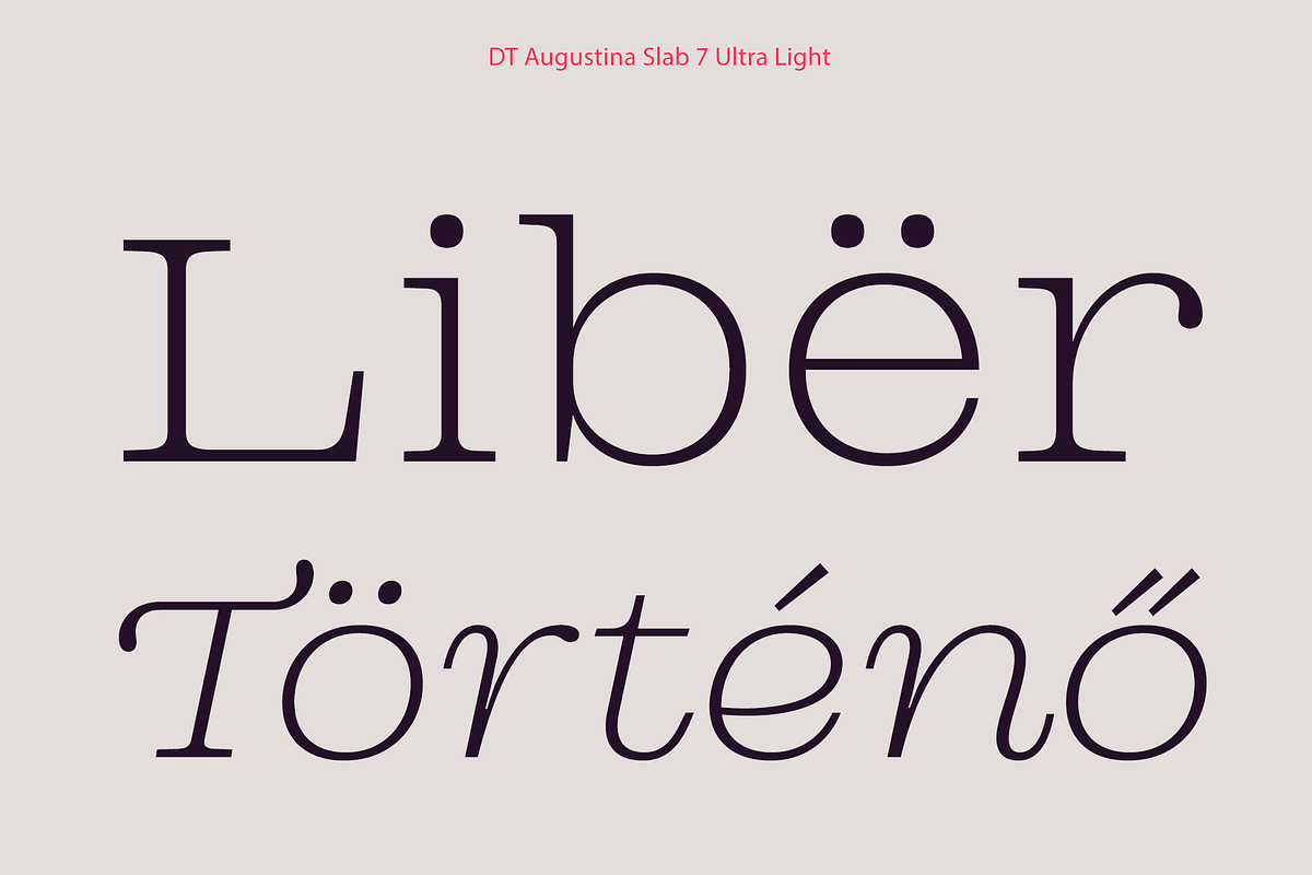 DT Augustina Slab 7 Subfamily, a Slab Serif Font by Deveze Type Foundry (Photo 3 of 31)