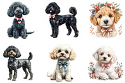 Watercolor Poodle Clipart, a Seasonal Illustration by Designking (Thumbnail 4 of 5)