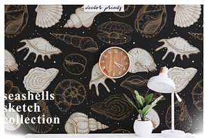 Seashells Design. Natural Logos