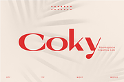 Coky - Elegant Modern Sans-Serif, a Sans Serif Font by roomspace creative lab (Thumbnail 1 of 10)