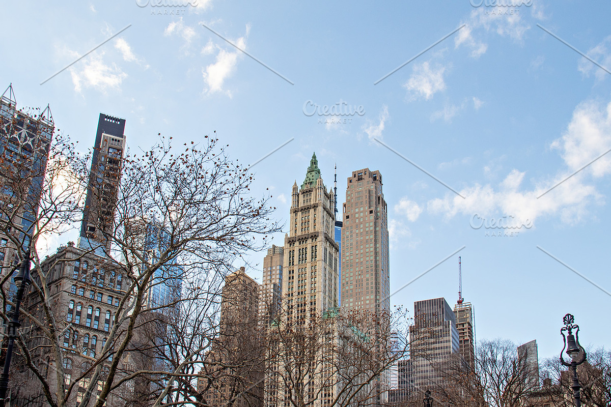 New York City Winter Photos, a Holiday Photo by Full Circle Design Studio (Photo 4 of 14)