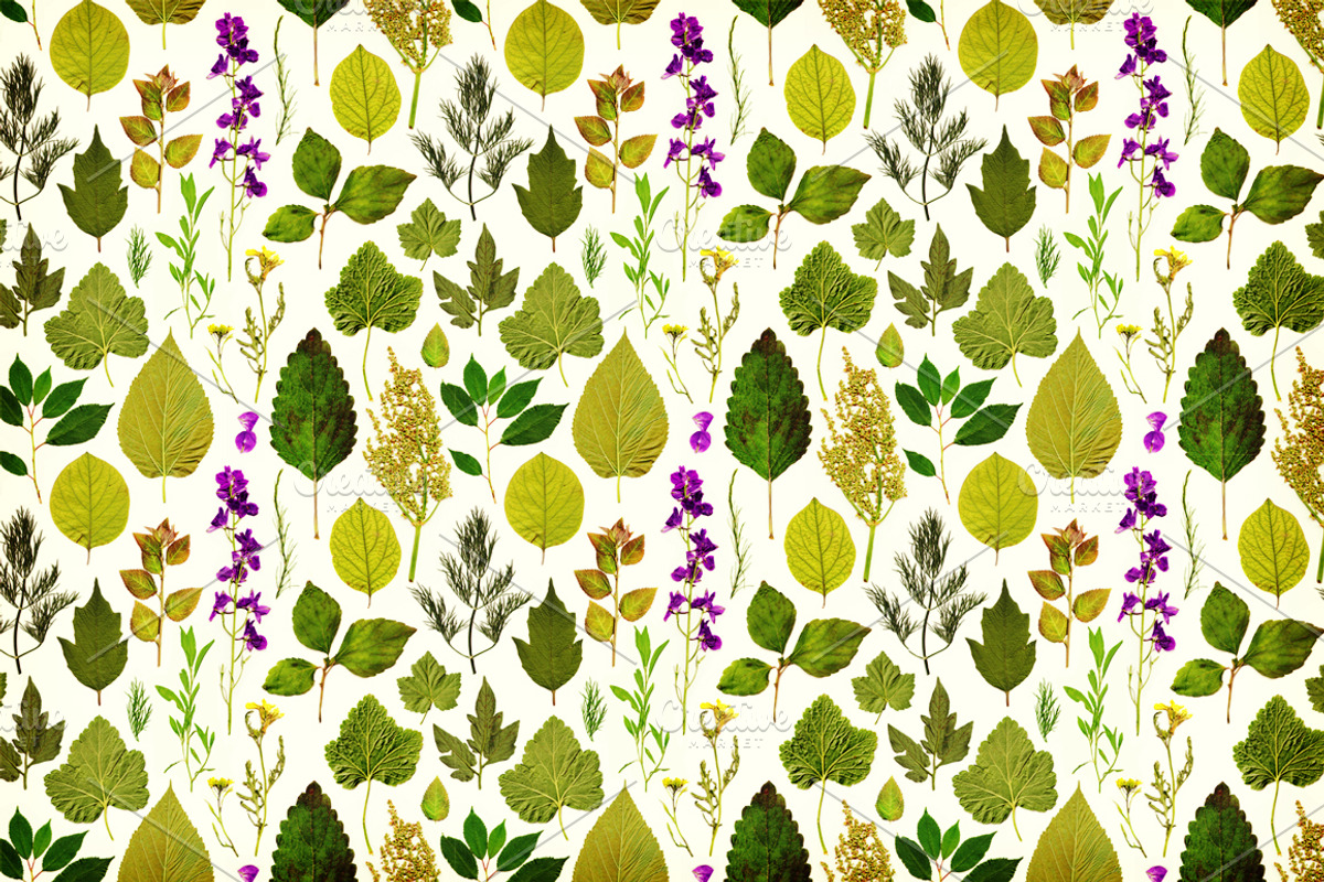 Vintage herbarium seamless pattern preview 2