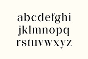 Modest Steady Display Serif Font, a Serif Font by UICreative (Thumbnail 6 of 13)