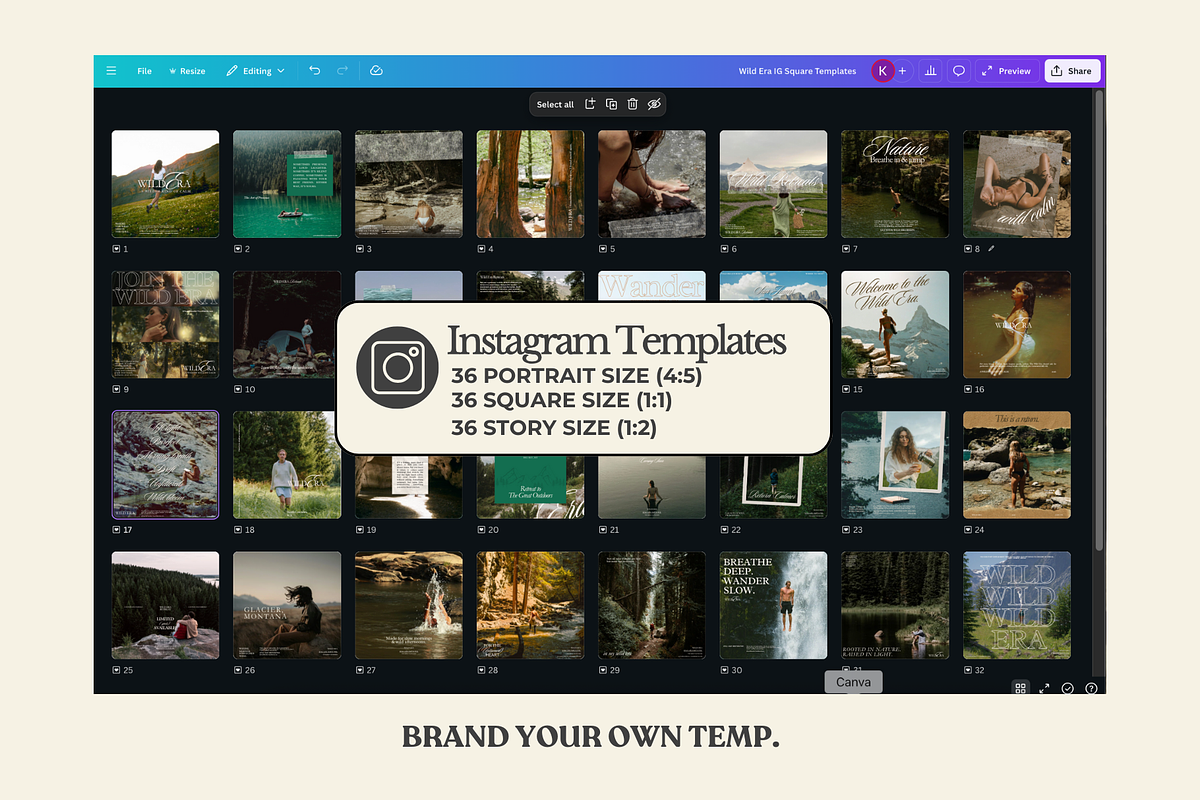 Earthy Wellness Canva Templates preview 4