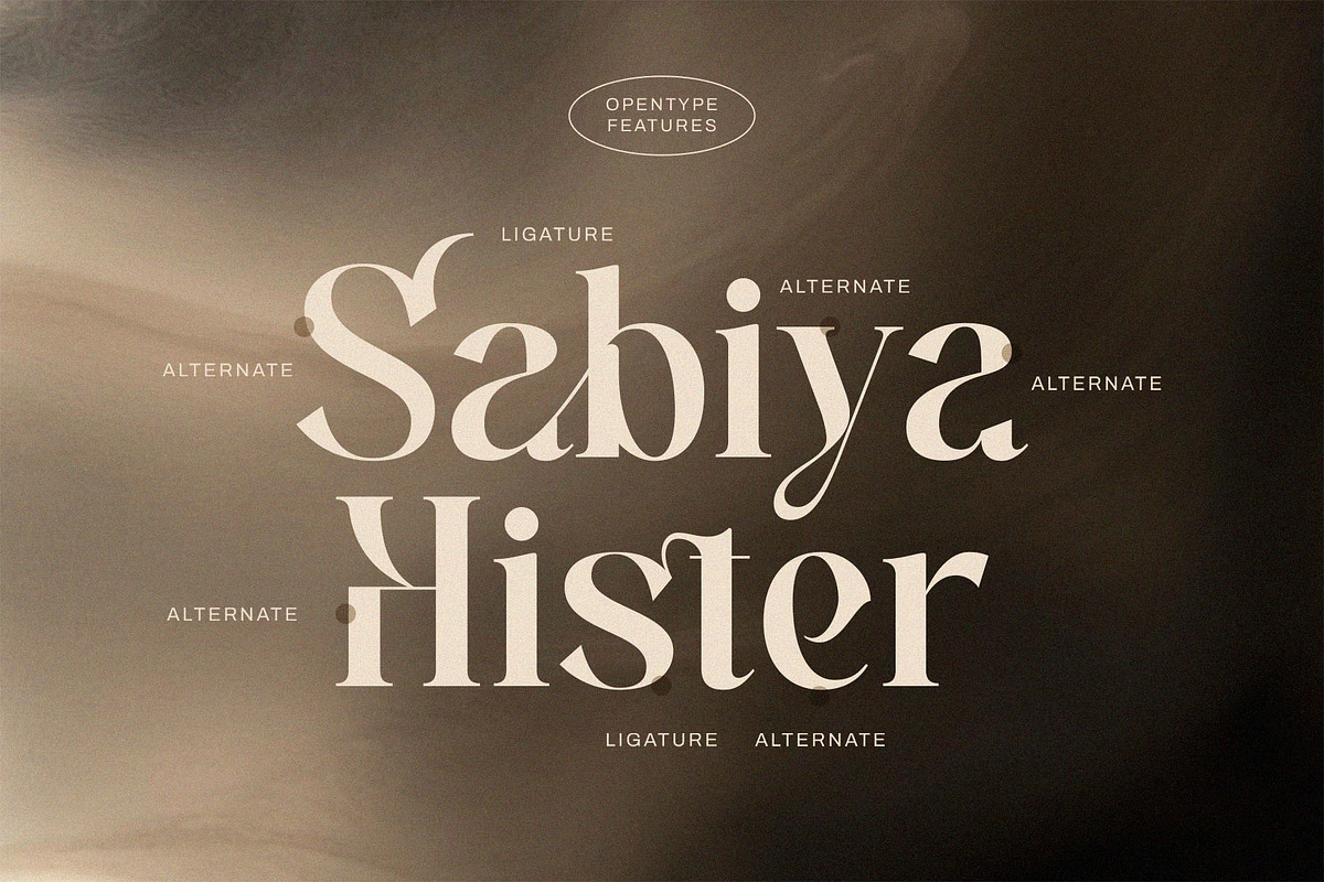 Herista - Aesthetic Serif Font, a Serif Font by Jimoji (Photo 6 of 7)