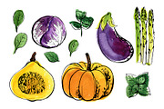 Vegetables vector sketch watercolor, a Food Illustration by irina.vaneeva (Thumbnail 12 of 18)