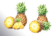 Tropical Pineapple. Hand painted, a Food Illustration by Daria Ustiugova (Thumbnail 5 of 28)