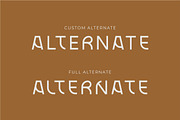 Blax - Sans Serif Alternate Font, a Sans Serif Font by suhadidesign (Thumbnail 8 of 20)