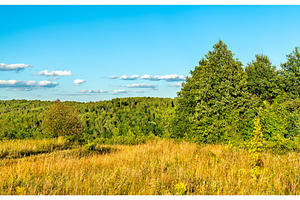 Typical rural landscape of kursk stock photo containing russia and meadow, a Nature Photo by Leonid Andronov