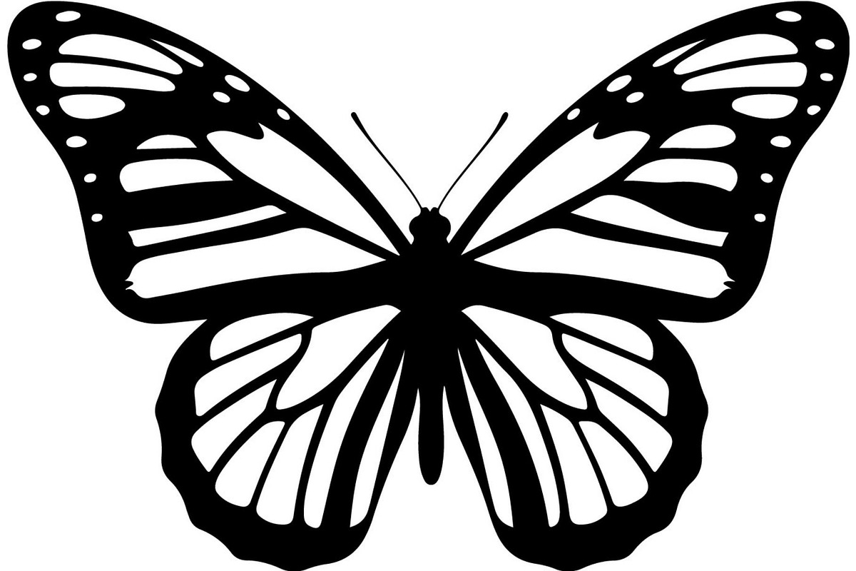 Elegant Butterfly Silhouette, an Object Graphic by Creativeshirt (Photo 10 of 17)