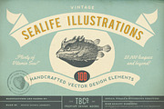 SALE! 100 Sealife Illustrations, an Animal Illustration by Anja Kaiser (Thumbnail 1 of 6)