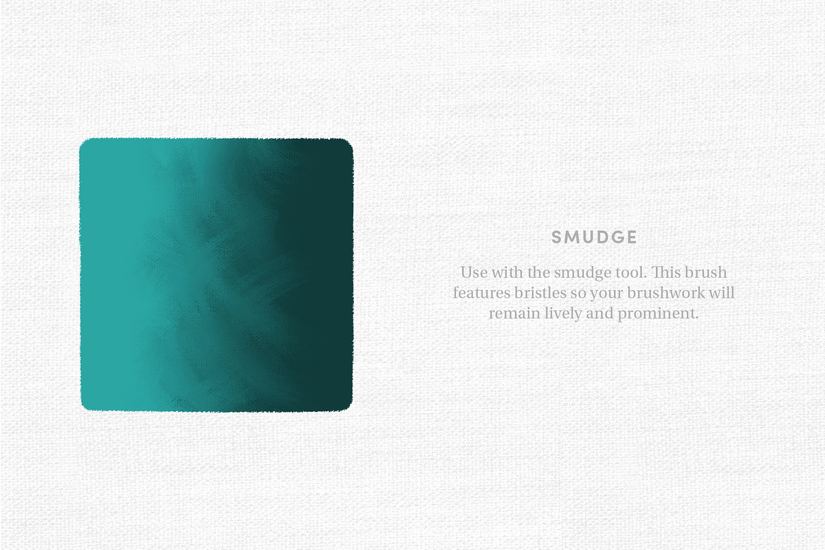 Classic Paints – Procreate Brushes, a Brush Add-On by Sadie Lew (Photo 14 of 16)