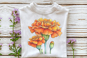 Spring Flower Clipart Bundle, an Illustration by OK Design (Thumbnail 6 of 6)
