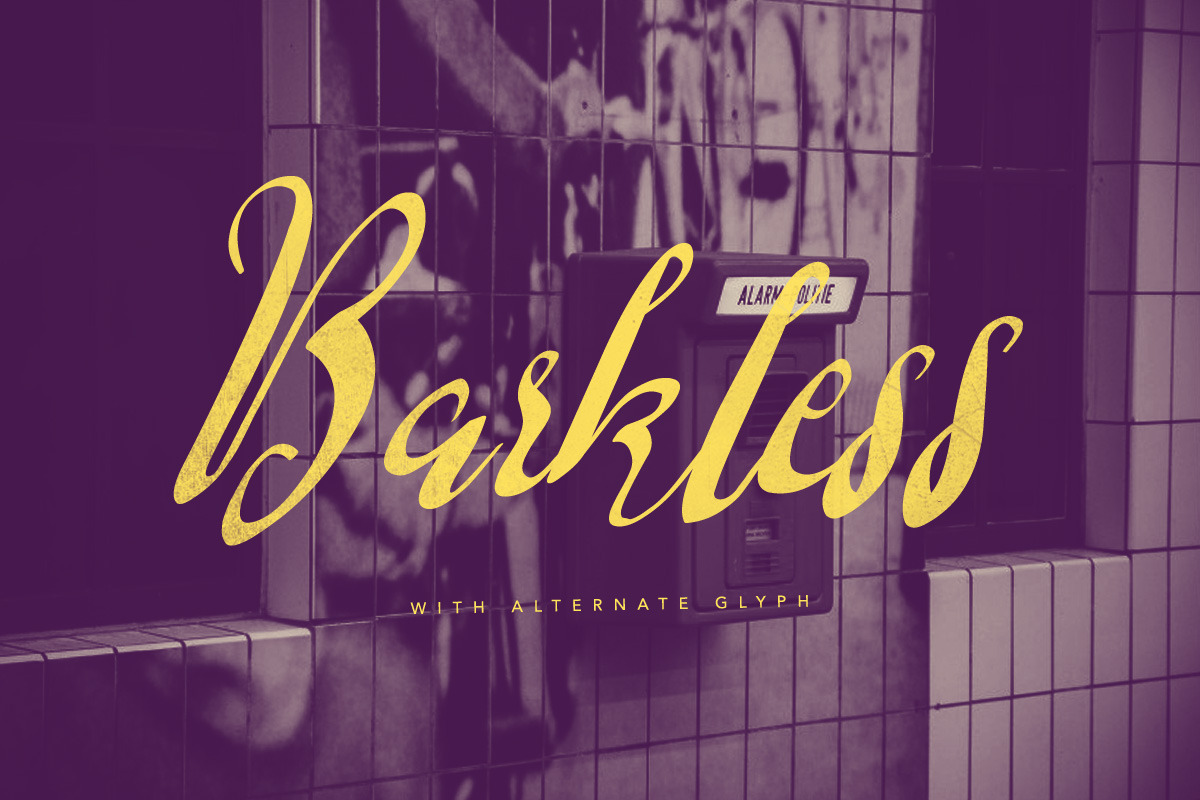 Font & Graphic Bundle - 95% off, a Script Font by vuuuds (Photo 33 of 33)