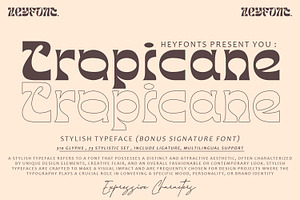Tropicane - Stylish Typeface