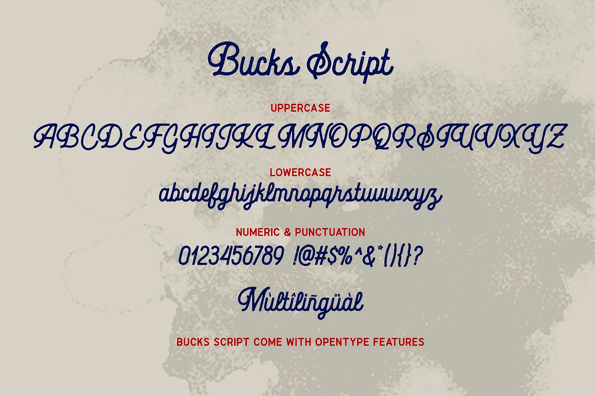 Bucks, a Script Font by Secondivison Supply (Photo 5 of 9)