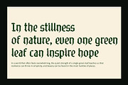 CS Alore Drawn, a Blackletter Font by Craft Supply Co. (Thumbnail 4 of 8)