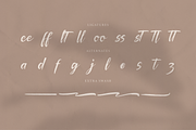 Palfian | Brush Solid Script, a Script Font by gracetype_studio (Thumbnail 11 of 13)