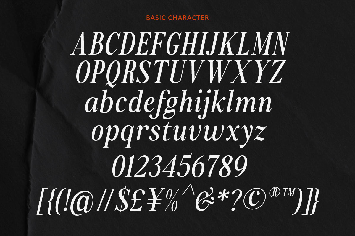 Sailor Mirage | 16 Fonts, a Serif Font by Skinny Type (Photo 15 of 15)