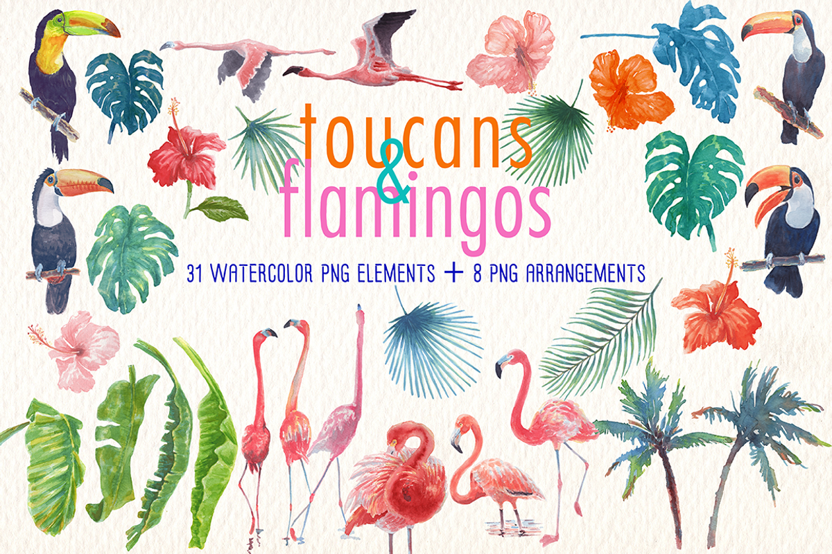 toucans and flamingos watercolor set, an Illustration by Art & Things (Photo 7 of 7)