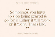 Vanemo Modern Serif Typeface, a Font by Shiningtown Creative (Thumbnail 5 of 15)