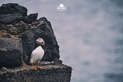 Travel Lightroom Presets, an Action Add-On by Lavinsky Art Store (Thumbnail 11 of 15)