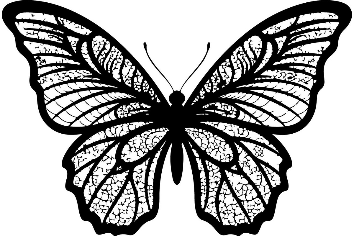 Beautiful Butterfly Silhouette, an Object Graphic by Designer_Momina (Photo 11 of 20)
