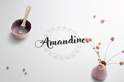 Allure Feminine logo pack, a Branding & Logo Template by Nues Design (Thumbnail 4 of 17)
