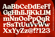 Tomato Ketchup Retro Serif Font, a Serif Font by Fenotype (Thumbnail 6 of 14)