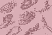 Vintage Bundle 2500+ Free Update, an Animal Illustration by Retro Machine (Thumbnail 4 of 170)