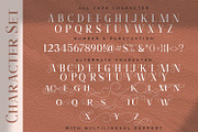 Angler - Roman Serif Font, a Serif Font by StringLabs (Thumbnail 11 of 12)