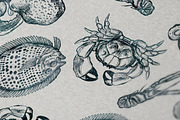 Vector Sea Life Graphics Collections, an Animal Illustration by ZiziMarket (Thumbnail 5 of 5)