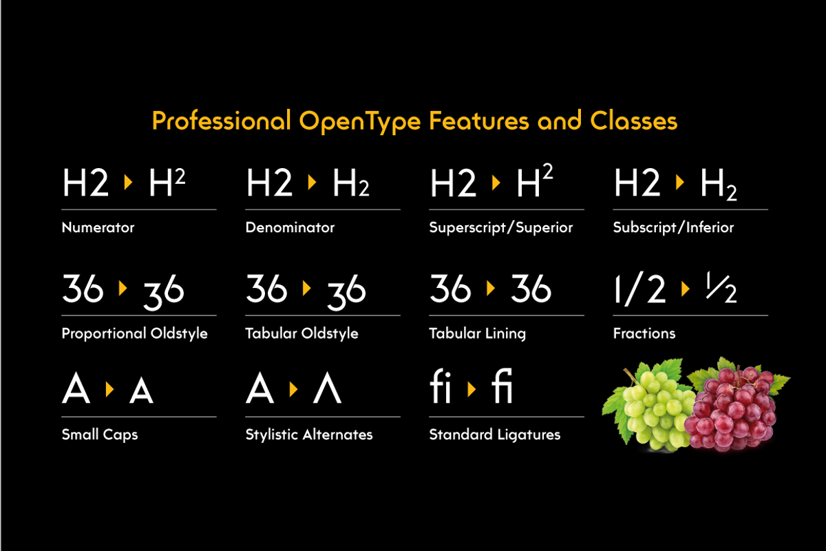 Trakya Sans, a Sans Serif Font by BULENT YUKSEL (Photo 7 of 11)