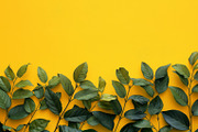 99 Frames of green leaves, a Nature Photo by Handmadefont (Thumbnail 24 of 100)