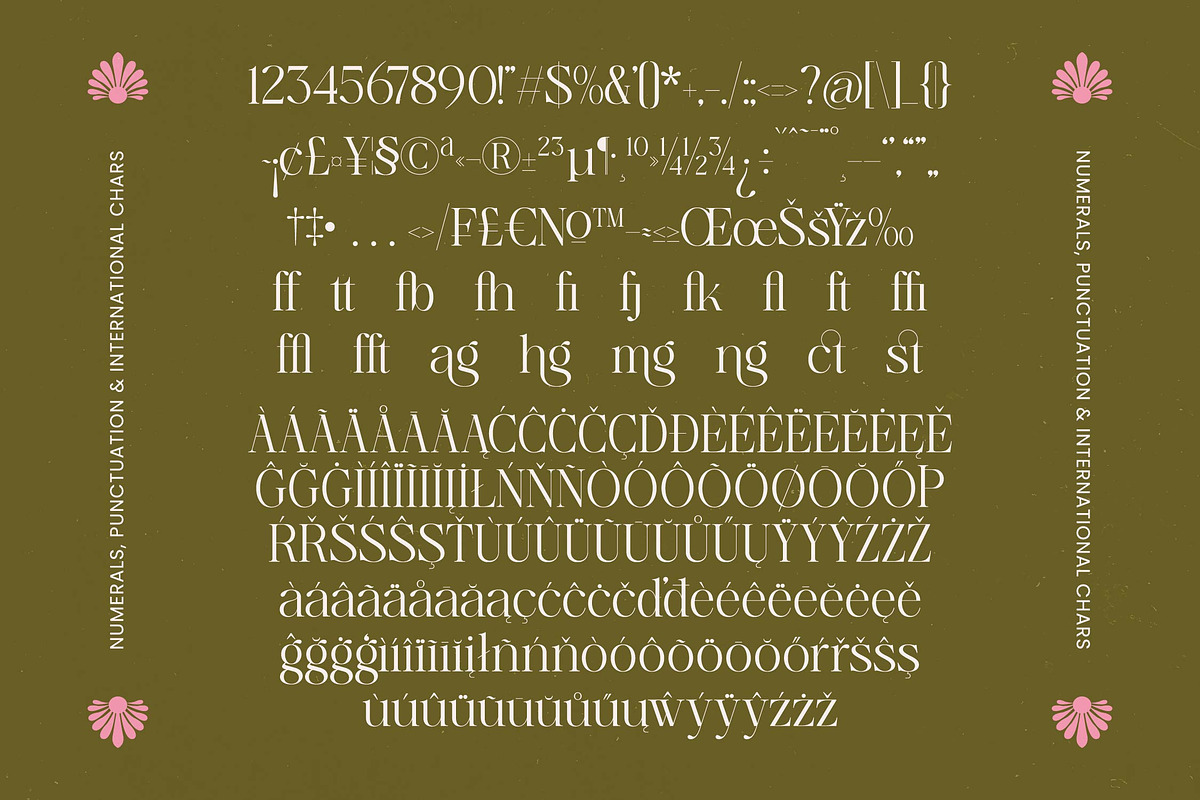 Bagvan Anstic Elegant Serif Font, a Serif Font by timelesstype.co (Photo 19 of 20)