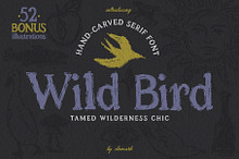 Wild Bird Hand Crafted Font