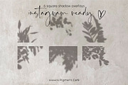 Leafy Botanical Shadow Overlays, a Background Graphic by Pigment Café (Thumbnail 5 of 8)