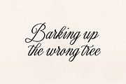 Romantyc Harmony, a Script Font by Damarletter (Thumbnail 4 of 8)