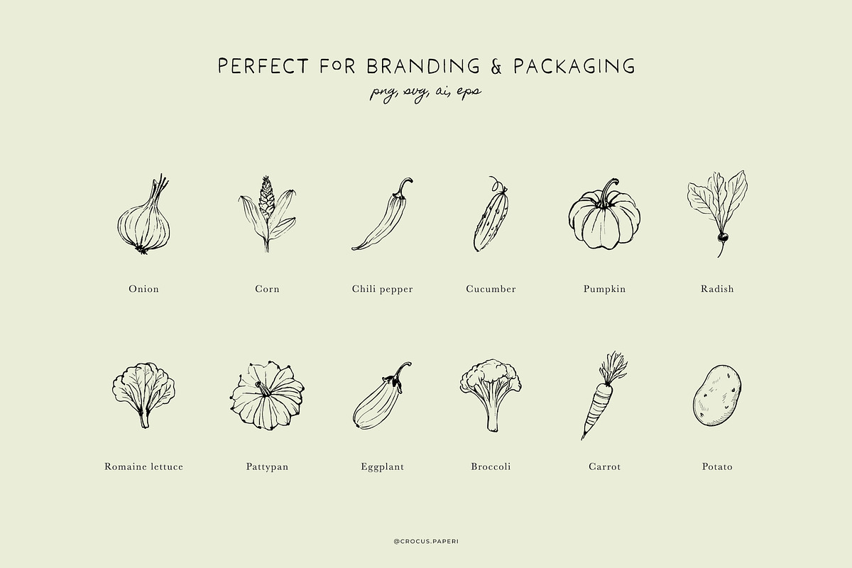 VEGETABLES line art illustrations, a Food Illustration by Crocus Paperi (Photo 3 of 3)