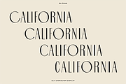 The Diverse Font Bundle, a Sans Serif Font by Bnick (Thumbnail 13 of 34)