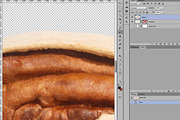 Pecans, an Object Graphic by Hortimages (Thumbnail 2 of 2)