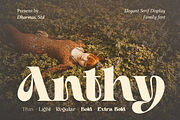Anthy - 5 Display Family, a Serif Font by Dharmas Foundry (Thumbnail 1 of 17)