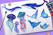 Sea Life. Watercolor set, an Animal Illustration by Librebird (Thumbnail 2 of 6)