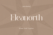 Eleanorth, a Serif Font by RT Studio (Thumbnail 1 of 10)