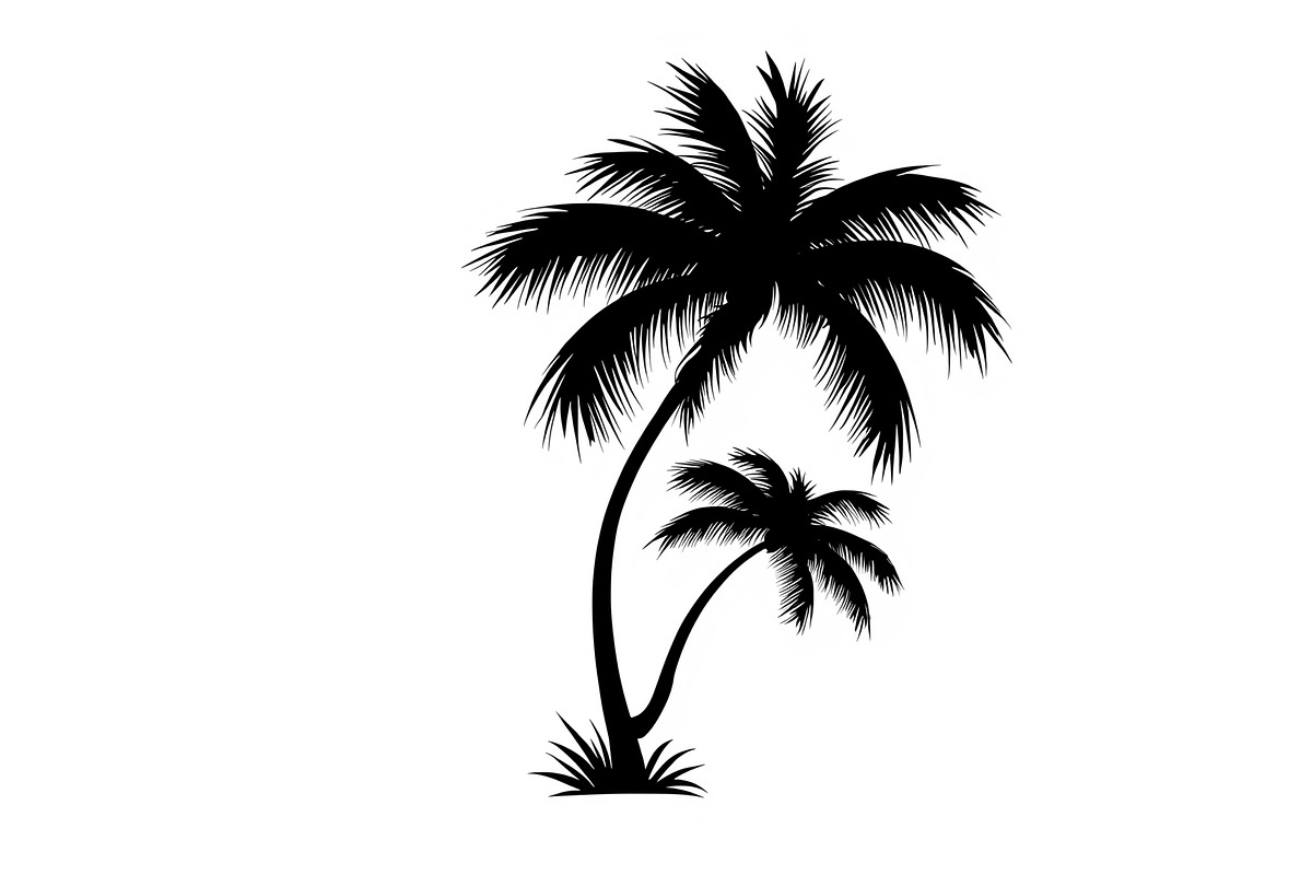 Summer Beach Palm Bundle, an Illustration by jahid234 (Photo 7 of 21)