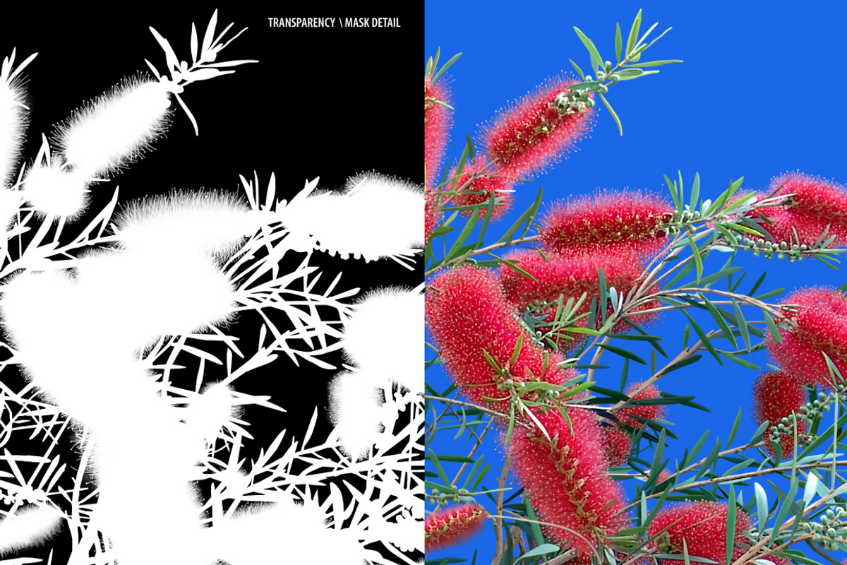 10 PSD Plants Collection 4 preview 5