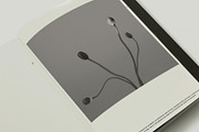 Minimalistic Magazine Template⸻Meg, a Magazine Template by Studio Viita (Thumbnail 7 of 7)