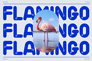 Bangoo – Modern Display Font, a Handwritten Font by overlaytemplates (Thumbnail 2 of 5)